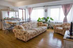 Отель Silvia's Apartment  Волунтари